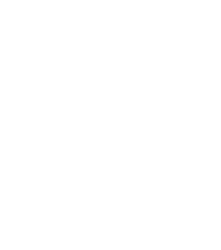 Lion Group